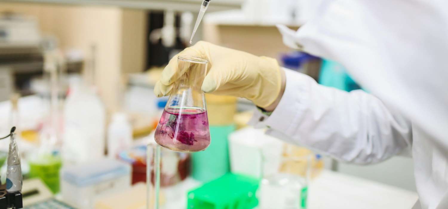 Kruidentherapie in klinische studies